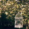 🌳ZugGarten™ | Riemenscheiben-Set für Gartenzubehör | BUNDLE-RABATT HEUTE! - Default Title