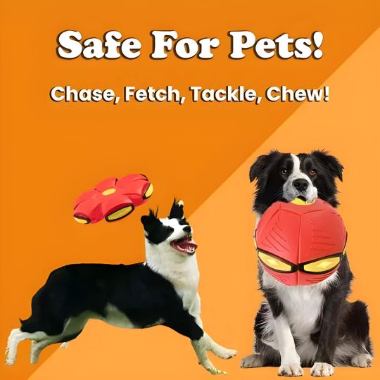Doggy Disc Ball - Blau