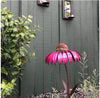 VogelFreude™ | Sonnenhut-Vogelfutterstation | 1+1 GRATIS HEUTE! - Garden - Rosa