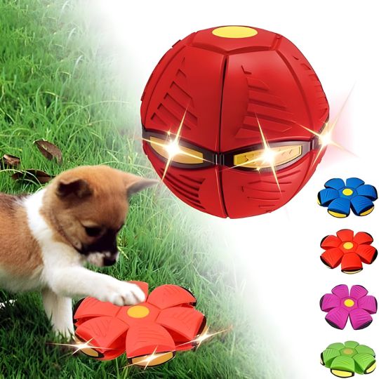 Doggy Disc Ball - Rot