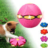 Doggy Disc Ball - Rosa
