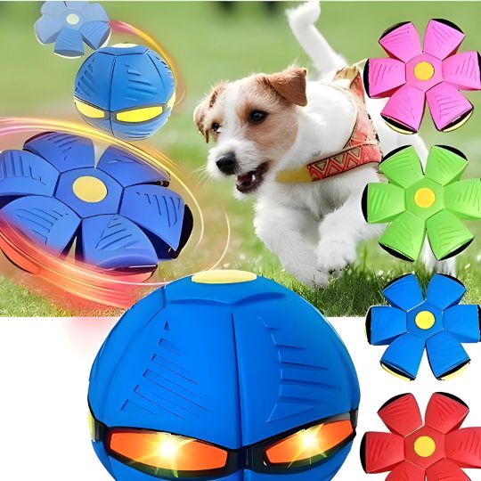 Doggy Disc Ball - Blau