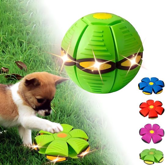 Doggy Disc Ball - Grün